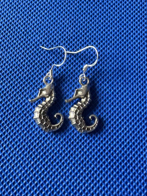 Zeepaard oorbellen π Zeepaard Oorbellen